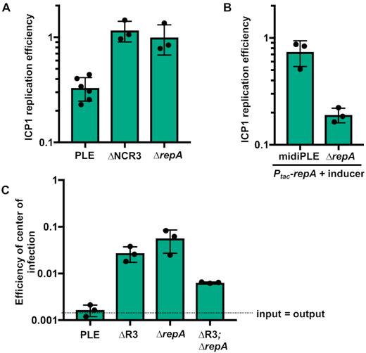 Loss of replication impairs PLE anti-phage activity. (A) ICP1 replication in wild-type and mutant PLE(+) strains as assessed by qPCR. Replication efficiency is relative to ICP1 infection of PLE(−) V. cholerae 20 min post-infection. (B) Replication of ICP1 as assessed by qPCR in RepA complemented midiPLE and ΔrepA PLE infection relative to an un-complemented midiPLE control. (C) Efficiency of center of infection (EOCI) for ICP1 on wild-type PLE and non-replicating PLE mutant hosts. ECOI is relative to a PLE(−) permissive control strain. The dashed line indicates the threshold at which the number of output phage is equal to the number of input phage. Above the dashed line output has a larger value, below the dashed line input has a larger value.