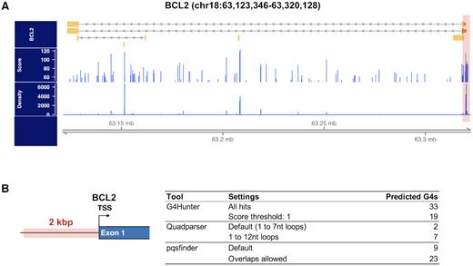 Dealing with overlapping quadruplex motifs in a GC-rich gene promoter. (A) From the upper to the lower track: BCL2 gene annotation (chr18:63 123 346–63 320 128 in the hg38 reference genome); distribution of all G4 motif prediction scores obtained with pqsfinder and; distribution of pqsfinder G4 motif prediction densities. Higher density values indicate low-complexity regions. (B) G4 sequence prediction in the 2 kb, high-density, BCL2 promoter region. The table shows the results obtained with three different prediction algorithms, Quadparser, G4Hunter (Python) and pqsfinder (R package).