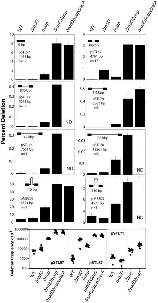 DNA deletion frequency in plasmids bearing direct 101 bp repeats. Assays were carried out as described in Methods, protocol 2. As the number of cell cycles following transformation is higher when this protocol is used, the observed deletion frequency is higher than that observed in Figure 2. The distance between repeats is given in each graph. Successful deletion results in resistance to tetracycline. Please note the different scales in the various panels.