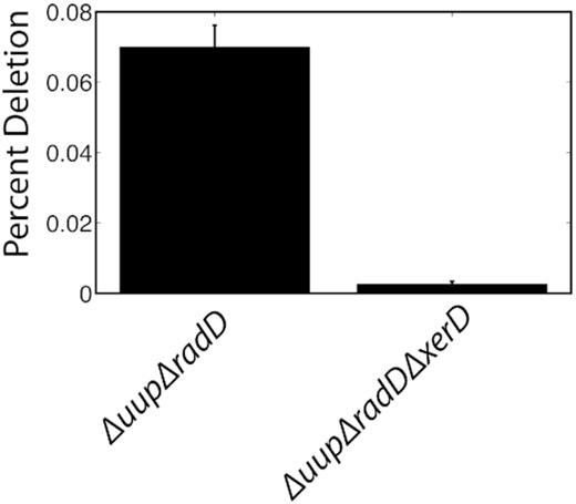 DNA deletion frequency between 787 bp repeats embedded on the E. coli chromosome. The repeats are separated by 1.4 kb and successful deletion confers tetracycline resistance; n = 10. A control with a wild-type genetic background is not included, as it generated no successful deletion events in three replicate trials. Assays were carried out as described in Materials and Methods.