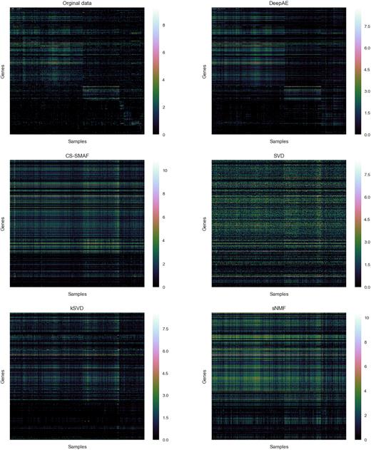Original gene expression profiles (GSE60361) and the profiles reconstructed by DeepAE, SVD (47), k-SVD (48), sNMF (49), and CS-SMAF (17). The data in the heatmaps is processed with log(data + 1).