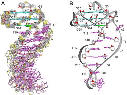 NMR solution structure of B4-dx2. (A) Ten superimposed lowest-energy structures. (B) Ribbon view of a representative structure. Anti guanines in the G-tetrads are colored in cyan; syn guanine in the G-tetrads, green; bases in the duplex stem, magenta; backbone and sugar, gray; O4′ atoms, red; phosphorus atoms, yellow.