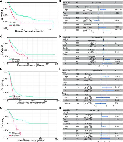 Disease-free survival related to the pisSNV ratio across cancer types. Subjects from the BLCA (A, B), LUAD (C, D), OV (E, F) and STAD (G, H) cohort were stratified according to the pisSNV ratio. Multivariate Cox regression analysis of the pisSNV ratio after taking into account age, gender and TNM stage of patients.