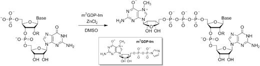 General approach to the synthesis of trinucleotide cap analogues.