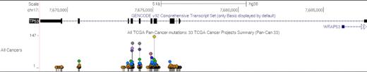 The TCGA Pan-Cancer track at the TP53 locus. The lollipop display showcases SNPs found in cancers that were not present in normal tissue. Lollipops are shaded according to their score relative to the other SNPs in the current view. The tall yellow and gray lollipops stand out to reveal hotspots indicated across ∼120 people and multiple cancers.