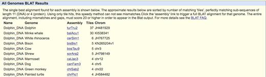 The BLAT All search results for a chunk of dolphin DNA show that the majority of potential hits apply only to the source turTru2 (Tursiops truncatus) dolphin assembly, but also suggest interesting matches to minke whale.