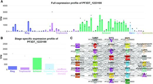 Expression profiles and co-expression neighbourhood of gene PF3D7_1223100. (A) Full expression profile of the gene. The x-axis represents the different RNA-seq experiments capturing the life stages and genetic perturbations of P. falciparum, while the y-axis indicates the expression level (Transcripts Per Million, TPM). The different life stages are colour-coded by blue (ring), purple (trophozoite), green (schizont), light blue (male gametocyte), pink (female gametocyte) and brown (sporozoite). The bars indicate the mean expression value, while the dots show the expression values of the individual samples. For brevity, only the general descriptions of the samples are shown. (B) Simplified expression profile of PF3D7_1223100, showing the average expression in the five major life stages. (C) Co-expression network neighbourhood containing functionally characterized genes. Nodes represent genes, edges (lines) connect co-expressed genes, while coloured shapes indicate orthogroups. For brevity, only genes with experimentally verified function supported by at least two publications are shown in the figure.