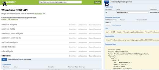 The Swagger (https://swagger.io) REST API interface at WormBase (http://rest.wormbase.org) makes it trivial to identify and test REST endpoints for creating programmatic data mining workflows. (A) A list of all endpoints. (B) A typical response.