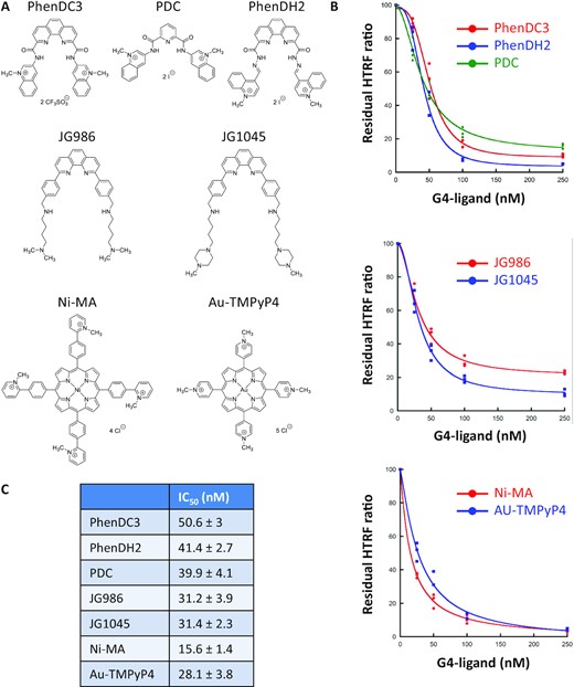 Inhibition of the SUD-NM / TRF2 G4 interaction by known G4-ligands. (A) Structure of the G4-ligands used in this study and belonging to three different chemical series (B) Competition HTRF assay: His-SUD-NM (10 nM) and biotinylated TRF2 G4 (50 nM) were incubated for 1 h at room temperature in the presence of increasing concentrations (from 25 to 250 nM) of seven G4-ligands. The curves for each chemical series are presented separately. (C) IC50 values calculated using the Kaleidagraph software to fit the experimental data are presented in (B).