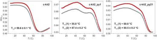 UV melting profiles of c-kit2, c-kit2_py1 and c-kit2_py21. Data were acquired for ∼10 μM DNA with 20 mM KCl and 5 mM K-phosphate buffer, pH 7. UV-melting experiments were initiated by equilibrating samples at 10°C for 10 min before being heated to 95°C (red curve) then after 10 min at 95°C the temperature was reduced to 10°C (grey curve). Temperature was ramped at 0.5°C/min and absorbance was followed at 295 nm. T1/2 values were extracted form red curves.