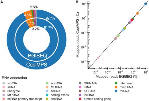 Distribution to the different sncRNAs classes. (A) Donut plot comparing the distribution of all RNA classes and intergenic regions that were covered by reads from CoolMPS and BGISEQ. (B) Scatter plot that shows the percentage of reads mapping to the RNA classes and intergenic regions for BGISEQ (x-axis) and CoolMPS (y-axis) on a logarithmic scale.
