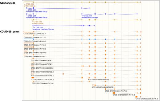 A screenshot from the Ensembl genome browser of the location view for the CTSS gene. The Comprehensive annotation from GENCODE 35 is shown in the upper panel and the updated annotation in the COVID-19 genes trackhub is shown in the lower panel. Transcript models that are unchanged with respect to release Ensembl 101 are coloured blue, whereas new models or pre-existing models that have been modified are shown in orange.