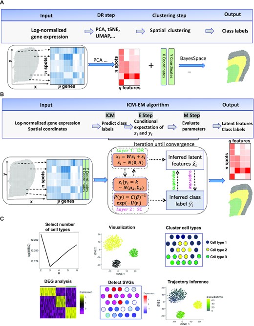 Workflows for both tandem analysis (A) and DR-SC (B) and potential applications of DR-SC in downstream analysis (C). (A & B). Compared with tandem analysis, DR-SC iteratively performed dimension reduction and (spatial) clustering with improved estimation for both clustering and low-dimensional embeddings. (C) DR-SC can be used to cluster cell types, with the number of clusters selected in a data-driven manner. The estimated cell types can be used to perform differential gene expression analysis. The estimated low-dimensional embeddings from DR-SC can be used for visualization, trajectory inference, and detection of gene expression with spatial variations by controlling cell-type-relevant covariates.