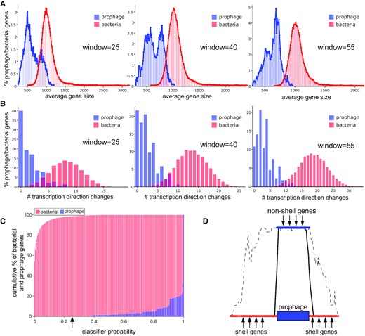 DEPhT uses gene size and transcription direction changes (tdc's) in multi-gene windows to identify prophage regions sensitively. (A) The percentage of bacterial (red) and prophage (blue) genes corresponding to average gene size is plotted using window sizes of 25, 40 and 55 genes, as indicated. Increasing window size improves separation of bacterial and prophage gene size distributions. (B) The percentage of bacterial (red) and prophage (blue) genes corresponding to the average number of transcription directionality changes is plotted using window sizes of 25, 40 and 55 genes, as indicated. Increasing window size improves separation of bacterial and prophage distributions for transcription direction changes. (C) The cumulative percentage of bacterial (red) and prophage (blue) genes is plotted as a function of the classifier probability, which combines the gene size and tdc parameters. All prophage genes have a classifier probability above 25%, and only 1.5% of bacterial genes have classifier probabilities above 25%. (D) Schematic representation of the challenges in identifying prophage boundaries. Using a 25% threshold value the gene size/tdc classifier readily identifies prophage regions (dashed line represents raw classifier probabilities), but the prophage boundaries are ill-defined due to the large window size. Inclusion of shell gene analysis can align the signal over regions determined to be accessory parts of the genome, thus improving specificity.