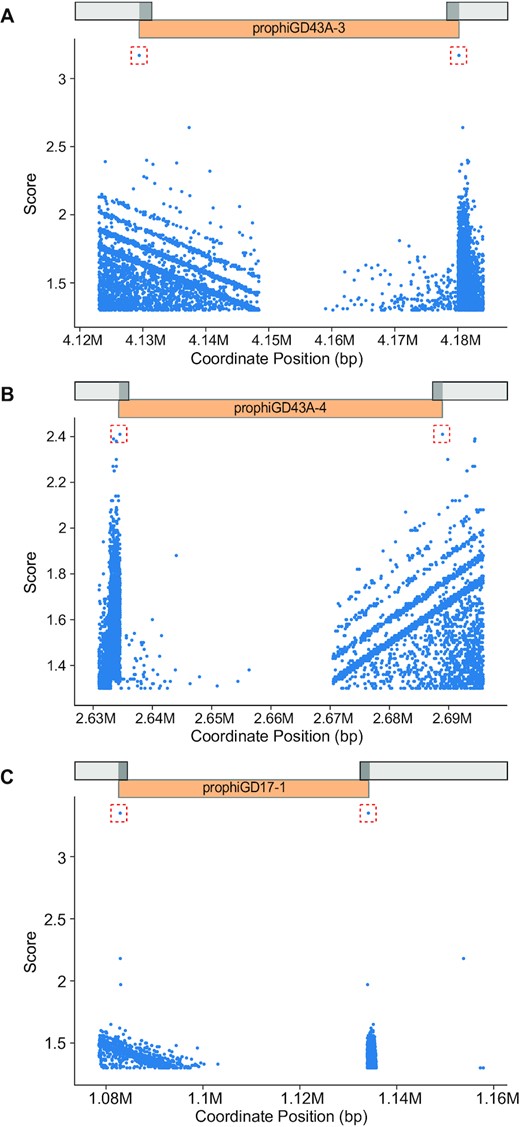 DEPhT identifies attachment sites at prophage boundaries. DEPhT uses BLASTN to identify all sequence repeats present at both the left and right sides of predicted prophages. All left/right pairs identified by BLASTN are scored as described (see Methods) and the highest scoring sites are shown in a red box. The position of the prophage is shown. Three examples are presented: (A) prophage prophiGD43A-3 that uses a tyrosine integrase and has a 17 bp att site common core with a single mismatch between attL and attR, (B) prophage prophiGD43A-4 which uses a serine integrase and has an 8 bp common core at attL and attR, and (C) prophiGD17-1 which uses a tyrosine integrase and has a 39 bp common core without mismatches at attL and attR.
