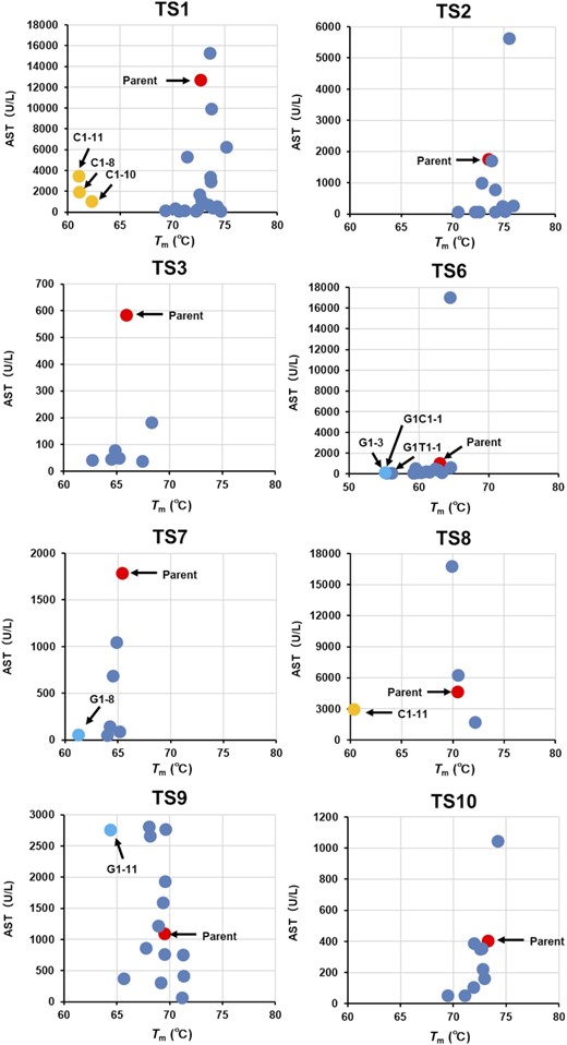 The relationship between hepatotoxicity (AST values) and Tm values of TS-ASOs or nucleobase-modified TS-ASO. The serum AST levels are shown on the horizontal axis and the Tm values of the duplexes formed between TS-ASOs or nucleobase-modified TS-ASOs and their complementary RNAs are shown on the vertical axis. The red dots indicate TS-ASOs. The blue dots indicate nucleobase-modified TS-ASOs. The arrows indicate nucleobase-modified TS-ASO which decreased the Tm values by >5°C compared with the parent TS-ASO.