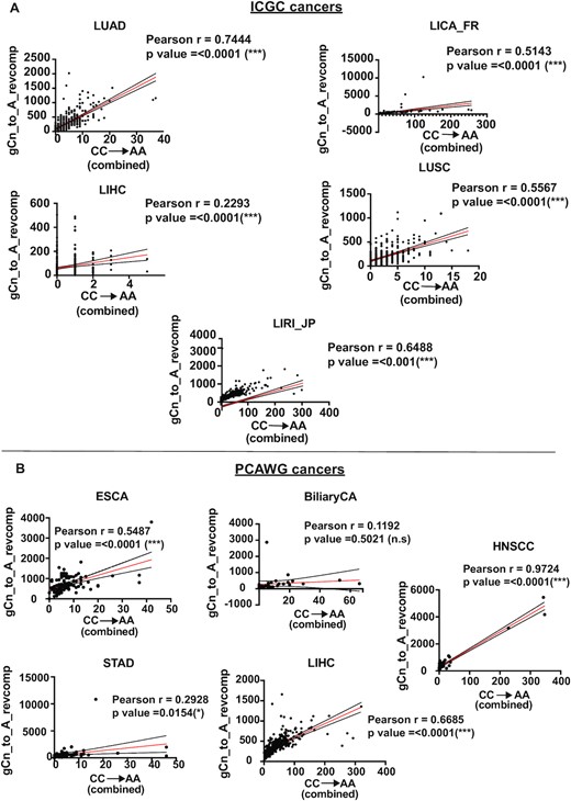 Correlation of the CC→AA dinucleotide mutation signature with gCn→gAn trinucleotide mutation signature in (A) ICGC cancers and (B) PCAWG cancers. For each dataset, black dots represent the gCn→gAn mutation loads for each sample, red line is the linear regression and black lines are the 95% confidence intervals. Plotting and analysis were performed using Prism (v 9.3.1, GraphPad Software, LLC) and R Studio (http://www.rstudio.com/).