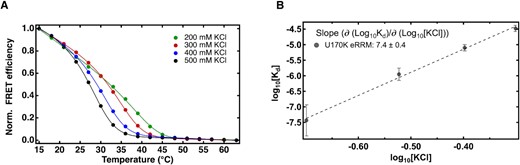 Extended RRM–SL1 interaction shows significant salt dependence. (A) FRET efficiency calculated from fluorescence spectra of equimolar mixture of A32C/G34U SL1 and the U1-70K eRRM in 10 mM potassium phosphate and 200–500 mM KCl pH 7.4 excited at 488 nm collected from 15 to 63°C. Curves were fit to eq. 3 in Methods to obtain thermodynamic parameters; (B) linear correlation between log(${K_{d\ }}$in M) on log(KCl in M). See Supplementary Figure S11 to see similar plots for the ΔC complex.