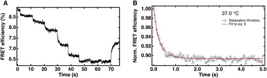 Relaxation kinetics of eRRM-A32C/G34U SL1 interaction from FReI. (A) FRET efficiency of 1 μM complex in response to the rapid temperature jump from 20 to 56°C. (B) Relaxation kinetics of the complex at physiological temperature, 37°C fit to Eq. (6). See Figure S15A for the relaxation kinetics at all temperature jumps from 29°C to 38°C.