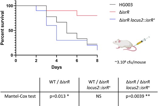 IsrR is required for S. aureus full virulence. Kaplan–Meier survival probability plots in a septicemia model of mice infected with either HG003 (WT, black), HG003 ΔisrR (red) and HG003 ΔisrR locus2::isrR+ (ΔisrR complemented, blue). Survival was monitored for 8 days post-infection. Results shown are from 10 mice per group; the experiment was performed twice, and data combined. The Mantel-Cox test was used to determine P values. NS, non-significant.