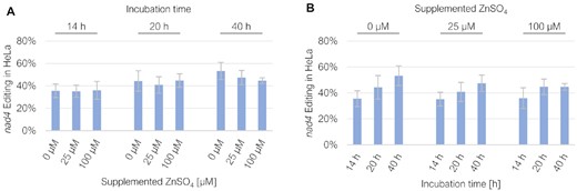 Exploring variable experimental conditions to detect RNA editing in HeLa cells. RNA editing in HeLa cells was tested for the EYFP-PPR56 construct and its native nad4 target under different incubation times of 14, 20 and 40 h after transfection, and with variable Zn2+ supplementations of 0, 25 and 100 μM ZnSO4. No beneficial effect was observed for added Zn2+ at any of the three incubation times (A), whereas increased incubation times yielded higher editing efficiencies (B). For a complete list of results from individual replicates see Supplementary Table S2.