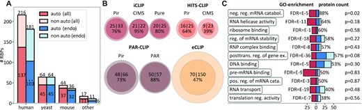 Widespread autogenous mRNA–protein binding detected by CLIP. (A) The number of unique RBPs that interact with their own mRNAs (dark-blue/dark-orange bars) as compared with the total number of RBPs analyzed in different species (totals also given on top of bars). Color code: dark-orange/light-orange bars, all experiments; dark-blue/light-blue bars, endogenous expression only. (B) Incidences of autogenous binding as detected by different CLIP method/peak-caller combinations: the area of the circles is proportional to the number of RBPs included (inner circles, autogenous binders; outer circles, all RBPs). (C) GO analysis of eCLIP RBPs (N = 150) with red areas indicating the fold enrichment in select GO categories against the human proteome as the background, with the corresponding FDR (false discovery rate) values given on the left. Dark-blue bars (auto-binding) and light-blue bars (non auto-binding) indicate the number of RBPs that fall in the respective GO categories, with the percentage indicating the proportion of autogenous binders and the P-values capturing the difference from the base value of 47% as evaluated by randomization trials. See also Supplementary Table S1 and Supplementary Figure S2.