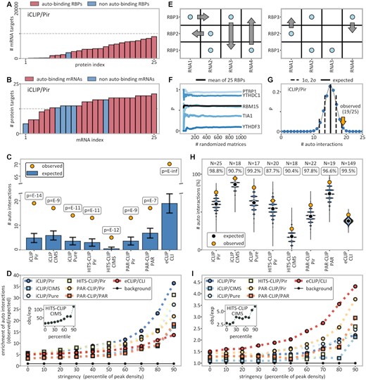 Significant enrichment of autogenous interactions. (A) Histogram of the number of binding targets (mRNAs) for the 25 RBPs studied by iCLIP/Pir. (B) Histogram of the number of bound RBPs for each of the 25 autogenous mRNAs of the RBPs studied by iCLIP/Pir. (C) Comparison between the observed (yellow dots) and the expected number (blue bars) of autogenously binding RBPs as calculated within the protein-centric framework (see the Materials and Methods for details). The P-values given were extrapolated from standard deviations derived from randomization trials (indicated as error bars). (D) The ratio of the observed and expected number of autogenously interacting pairs (colored symbols), where the expected number is calculated within the protein-centric framework as an enrichment over the background (black symbols) consisting of an assumed set of 20 000 human genes. Additionally, data were filtered with an increasing stringency from 0 to 90 percentiles, i.e. including only a given fraction of top targets as evaluated according to peak density. (E) Shuffling of binary RNA–protein interaction matrices without altering row and column totals as implemented in the Curveball algorithm (61). (F) Convergence of autogenous binding probabilities of five selected genes as a function of the number of fully randomized matrices. (G) Probability distribution of the expected number of autogenously binding RBPs in iCLIP/Pir generated by randomization using Curveball matrix shuffling-derived independent probabilities for each autogenous pair (symmetric framework). The observed number is indicated with a yellow arrow. (H) Comparison between the number of observed autogenous interactions (yellow dots) and the distribution of the expected numbers as obtained by randomization within the symmetric framework for different method/peak-caller combinations, with the RBP number and the percentile ranks of the autogenous values indicated above. (I) Same as (D), but with the expected number of binders calculated instead within the symmetric framework via matrix shuffling. The background represents all (autogenous + non-autogenous) interactions. See also Supplementary Figures S3, S4, S5, S6 and S8C, D.