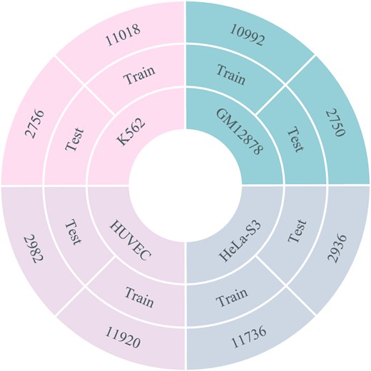 The statistical summary of the benchmark dataset. The ratio of positive and negative samples in all datasets is 1:1.