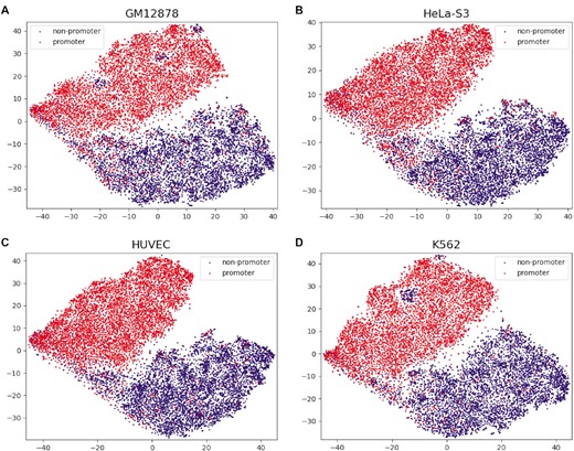 The feature representation map using t-SNE. (A–D) represent the results of feature visualization on GM12878, HeLa-S3, HUVEC and K562, respectively. Navy dots represent non-promoters and red dots represent promoters.