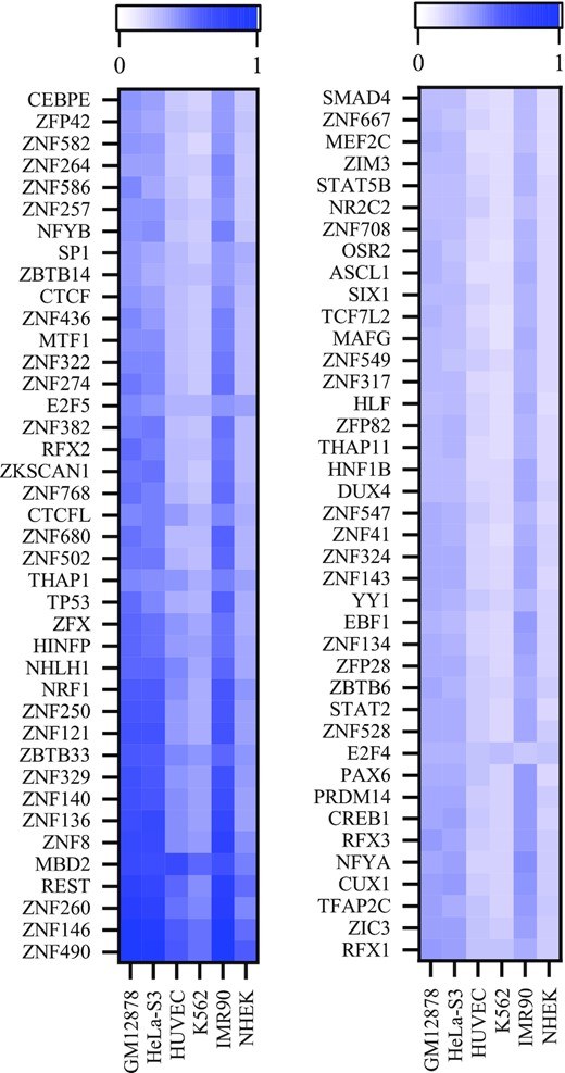The most important TFBS motifs identified by iPro-WAEL.