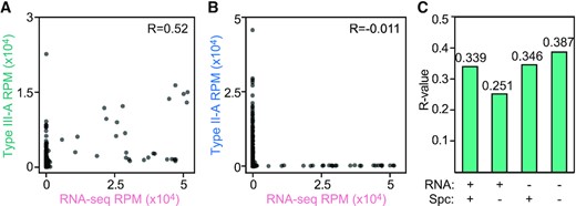 Correlation between spacer acquisition and transcription of genomic DNA during type III-A CRISPR adaptation. (A) Correlation plot of genomic coverage (1 kb bins), comparing RNA-seq reads and spacer reads after 3 h of induction of the S. epidermidis type III-A acquisition machinery. (B) Correlation plot of genomic coverage (1 kb bins), comparing between RNA-seq reads and spacer reads after 3 h of induction of the S. pyogenes type II-A acquisition machinery. (C) R-values of correlation plots (Supplementary Figure S4B), comparing between type III-A spacers and RNA-seq next-generation sequencing reads, each either matching the plus strand (+) or the minus strand (–) of the bacterial genome.