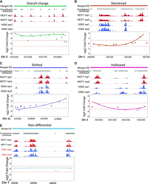 Differential SEs modeled with DASE. SE examples are listed with overall-change (A), shortened (B), shifted (C), hollowed (D) and non-differential (E). In each sub-figure, the upper panel lists in order the SE regions, CEs, H3K27Ac ChIP-seq coverage in two cell types with two replicates. The lower panel shows the fitted b-splines in addition to the original log2 fold-change values for CEs (points). Dashed lines indicate the estimated thresholds from permutation to define differential segments within SE regions. In (E), red text indicates the cell line where SE was detected at this locus by the binary strategy.