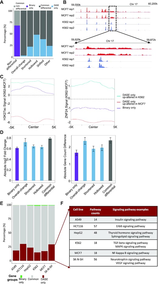 Comparisons between DASE and the binary strategy. (A) Average discrepancies between DASE and the binary strategy across pair-wise comparisons of the six cancer cell types. Light grey: common non-differentials by DASE and the binary strategy; Dark grey: common differentials; purple: differential only by the binary strategy; blue: differential only by DASE. X-axis is labels with SE categories based on DASE. (B) An example region showing overall-change SE by DASE but no change by the binary strategy. (C) H3K27Ac and TF binding signals at the CEs of the discrepant differential SEs. Lines indicate the differences of binding signals between cell lines. (D) Impact on gene expression and linked gene numbers by the discrepant differential SEs between DASE and the binary strategy. Bars indicate the mean of log2 fold-change of gene expression or changes of linked gene numbers in each pair-wise comparison and error bars represent the standard error of the means. Results from the two altering directions of the gene effects are merged based on absolute values. (E) Genes uniquely linked to SEs with increased activity (overall increased, lengthened or hollowed with increased CEs) in one cancer cell type compared to the other five cells. Green: genes uniquely found by binary strategy; red: genes uniquely found by DASE; grey: genes found by both methods. (F) KEGG pathways (P < 0.05) enriched in the uniquely linked genes by DASE.