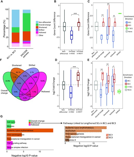 Identifying SE differences between similar cancer cell lines. (A) Proportions of differential SE categories identified from within-cancer (BC1 versus BC3) and cross-cancer comparisons (pairwise between six cancer cell types from ENCODE). Count differences (B, C) and log2 fold-changes (D, E) of linked genes by differential CEs (B, D) and SEs (C, E) between BC1 and BC3 cell lines. Gene targets are identified based on chromatin contacts from H3K27Ac HiChIP data. P-values were calculated with Wilcoxon rank-sum test (B, C) and Student's t-test (D, E) with notations as *P < 0.05, **P < 0.01, *** P < 0.001 and n.s. = not significant. (F) Overlaps of SE-linked genes across four differential SE categories between BC1 and BC3. (G) KEGG pathways (P < 0.05) that uniquely associated to each differential SE category. Pathways enriched in shortened SEs are highlighted separately for two sub-groups: those lengthened in BC1 and those lengthened in BC3.