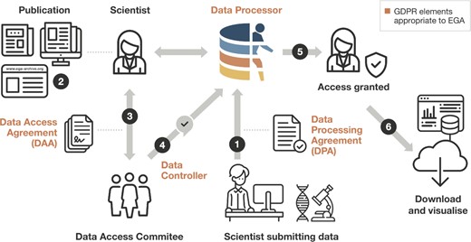 EGA facilitates the submission, discovery, access, and distribution of sensitive human data. A researcher submits controlled access human genetic, phenotypic and clinical data to EGA after signing a Data Processing Agreement (1). EGA processes, archives, and releases the dataset to be findable. Another researcher discovers data of interest at the EGA (2). They contact the Data Access Committee for the data of interest and agree to the terms of data reuse by signing a Data Access Agreement (3). The Data Access Committee informs EGA that access is approved (4). The EGA grants access to the requesting researcher (5) who can then download and visualise the data (6). GDPR: General Data Protection Regulation.