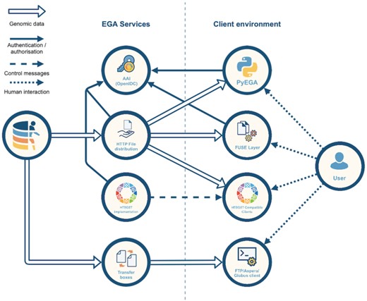 The EGA offers a variety of secure data access and download services to meet user needs, many of which implement GA4GH standards. FUSE: Filesystem in Userspace. AAI: Authentication and Authorization Infrastructure. OpenIDC: OpenID Connect, an open standard and decentralized authentication protocol.