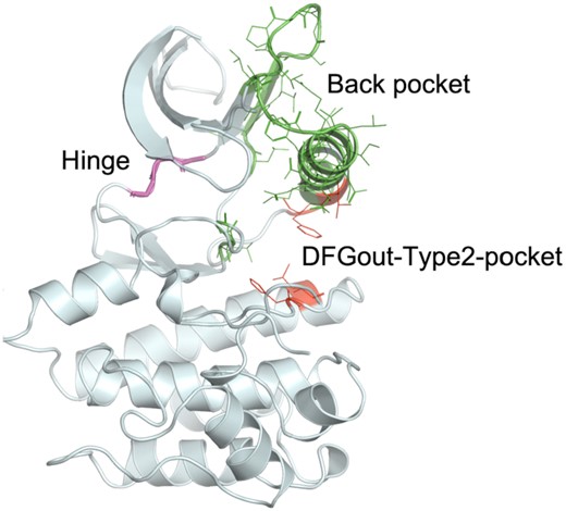 Representative protein kinase structure (3ETA_A) displaying the residues used to define inhibitor binding regions.