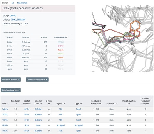 Screenshot of database table displaying entries for PDB chains of CDK2. Every blue string is clickable and will open up a new window with data on all chains corresponding to the link, including the PDB entry (clicking on a chain will lead to a page describing the whole entry), the spatial label (e.g. DFGin), the dihedral label (e.g. BLBplus), the ligand (e.g. ‘STU’) and the type of inhibitor (e.g. Type1). Each page provides links to a tab-separated file with the data from the page and to PyMOL sessions and mmCIF coordinate files for all chains listed on the page.