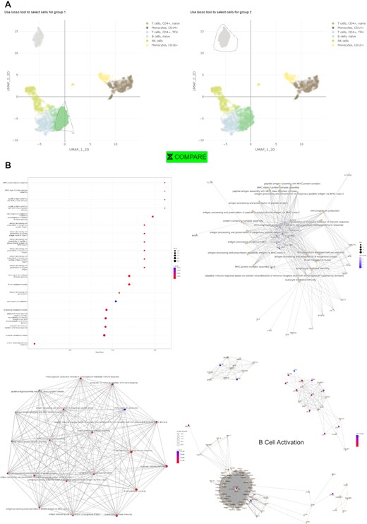 User selected differential expression analyses and gene set enrichment. (A) ICARUS provides the user the option to interactively select customised cell groups using a lasso select function for differential expression tests. (B) Extended visualizations of enriched terms (gene set enrichment analysis) including a dot plot ordered by gene ratio, a gene concept network showcasing genes involved with enriched terms and an enrichment map consisting of a network of enriched terms with edges connecting overlapping gene sets. Enriched terms may also be visualised individually as gene pathways (B cell activation pathway shown in figure).