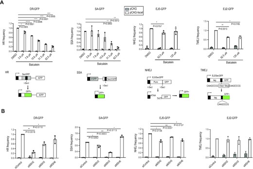 細胞はどのようにDNA損傷修復経路を選択するか(How cells select DNA damage repair pathways) 細胞はどのようにDNA損傷修復経路を選択するか(How cells select DNA damage repair pathways)