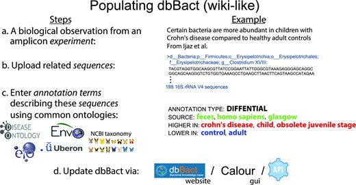 Steps in adding entries to dbBact. Users add new entries in a wiki-like way, by uploading study results. a. For example, analyzing data from Ijaz et al. (36), we identified 189 ASVs that are more abundant in fecal samples of Scottish children with Crohn's disease compared to healthy controls (see Methods section). b. These ASVs are uploaded as a FASTA file. c. Associations between ASVs and phenotypes are called annotations, which are created by assigning a set of ontology terms and predicates that characterize the context. The 189 ASVs were annotated as ‘DIFFERENTIAL,’ i.e. having a higher relative abundance in children with Crohn's disease (‘HIGHER IN’ terms), compared to healthy controls (‘LOWER IN’ terms). The general background terms common to both groups, i.e. ‘homo sapiens,’ ‘feces’ and ‘glasgow’ are designated by ‘SOURCE.’ Terms may be selected from several ontologies (e.g. DOID (37), ENVO (38,39), GAZ (40), UBERON (41), EFO (42), and NCBI Taxonomy (12)), allowing easy and precise annotations. d. Uploading annotations may be performed either through the dbBact website, dedicated clients (i.e. Calour (43)) or by REST-API. For clarity, the following nomenclature holds throughout the manuscript where ‘reserved’ words appear in italics (e.g. experiment, sequence, annotation, term), predicates appear in all caps (e.g. ‘HIGHER IN,’ ‘LOWER IN,’ ‘SOURCE’), and specific term names follow the ontology convention of being lower case (e.g. ‘homo sapiens’).
