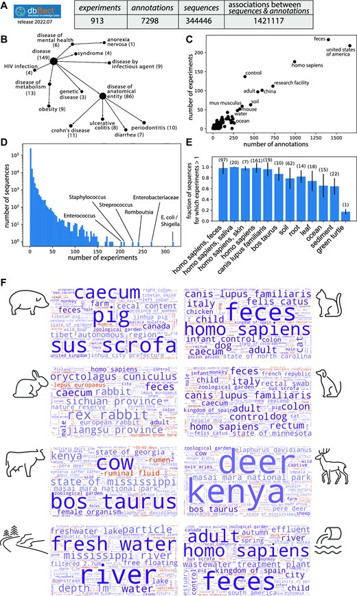 The scope and comprehensiveness of dbBact. A. Scope of dbBact release 2022.07 (used for the analysis presented in this paper). B. The number of experiments for representative disease categories based on the DOID ontology. C. Scatter plot of the total number of annotations and experiments in which each dbBact term appears. D. Histogram of the number of experiments in which each dbBact sequence appears. E. Knowledge base comprehensiveness. The fraction of ‘COMMON’ sequences from each experiment that have been annotated in additional experiments is shown for various terms. The number of experiments containing the term is designated above each bar. F. Comprehensiveness in a source tracking task. Sequences from eight sample types from Hägglund et al. were blindly submitted to dbBact. Their word clouds clearly display the sources of the samples (shown by the matched cartoon). Term sizes correspond to the F1 score of each term, combined for all sequences present in > 0.3 of the samples (for each sample type).