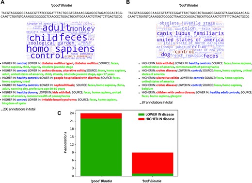 Sequence-based analysis provides more accurate genotype-to-phenotype associations compared to taxonomy-based associations. A,B. Two ASVs of the genus Blautia, that differ by nine bases over the 150nt Illumina read of the 16S rRNA V4 region are associated with opposite phenotypes, as discovered by dbBact. The two word clouds and annotations for each ASV, display ‘opposite’ associations with disease. The left ASV (A) is more prevalent in healthy subjects (‘good’ Blautia), whereas the other (B) is highly abundant in a series of disease-related annotations. Such differences can be traced through dbBact, but are completely missed by a taxonomy-based analysis. C. The number of disease-related annotations for the two Blautia ASVs across dbBact displays an opposite trend of being low and high in disease, for the ‘good’ and ‘bad’ Blautia, respectively. The total number of annotations in dbBact 2022.07.01 associated with the ‘good’ and ‘bad’ Blautia sequences is 377 and 124, respectively.