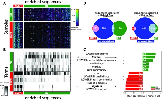dbBact links caloric restriction associated bacteria to other phenotypes. A. Heatmap displaying bacterial relative abundances across fecal samples (rows) of low BMI individuals (BMI < 25) practicing either a caloric restriction diet (CR, n = 33) or without dietary restrictions (AMER, n = 66), over a set of sequences (columns) that are significantly higher in either group. A differential abundance test (rank-mean test with dsFDR = 0.1 multiple hypothesis correction) identified 136 bacteria whose relative abundance was higher in the CR group (S-CR) and 27 bacteria higher in the AMER group (S-AMER). B. dbBact terms (rows) enriched in the sequences appearing in panel A (columns in panels A and B are aligned). Heatmap values indicate the term score for each bacterium. Terms were identified using a non-parametric rank mean difference test with dsFDR = 0.1 (top 6 terms for each direction are shown; see Supplementary File 4 for full list of enriched terms). C. Summary of the top enriched terms in the CR and AMER diets (green and red bars, respectively). Bar length and numbers are as in Figure 2. D. Venn diagrams of dbBact annotations related to the terms ‘low bmi’ (right) and ‘high bmi’ (left). Green and red circles indicate the number of sequences associated with the term in the CR and AMER diets, respectively; the blue circle indicates the number of such sequences across dbBact as a whole. The intersections of ‘low bmi’ bacteria with the CR group are significantly higher (p = 7E-5, using two-sided Fisher's exact test), confirming the association. Similarly, the intersection of ‘high bmi’ annotated sequences across dbBact with the AMER group is significantly higher than that with the CR group (p = 3E-17, using two-sided Fisher's exact test).