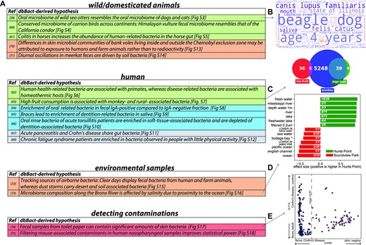 dbBact leads to novel biological hypotheses. A. Summary of biological hypotheses derived from dbBact-based analysis of published studies. Details of each analysis are given in the corresponding Supplementary Results section. Row colors correspond to hypothesis ‘type’ (inter-host similarities – green; intra-host similarities – blue; inter-disease similarities – gray; environmental sources – brown; contamination detection – red). B-E. Analysis results related to conclusions shown in panel a. B. dbBact term word cloud for sequences found in sea otter oral samples shows resemblance to dogs’ and cats’ samples. C. Venn diagram showing number of dbBact sequences associated with the term ‘monkey’ across dbBact (blue), and their intersection with sequences found in individuals from the American Gut study, who consume a high (green) and low (red) number of fruits per week. Sequences in the high-fruit consumption group are significantly more associated with the term ‘monkey’ (Fisher's exact test p-value < 0.00001). D. dbBact term enrichment comparing water samples collected in Hunts Point and Soundview Park, along the Bronx River in New York. Sequences whose relative abundance was higher in Hunts Point (green, located upstream) show significant fresh-water-related term enrichment (dsFDR = 0.1). E.Term-based principal coordinate analysis (PCA) of fecal samples of one individual collected daily for one year. The first principal component is the ‘feces-skin’ axis, where higher values correspond to ‘skin’ (see Methods for details). The values of a subset of samples, shown in magenta, is high, indicating possible skin-derived contamination in these fecal samples.