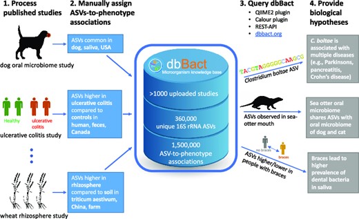 Graphical Abstract