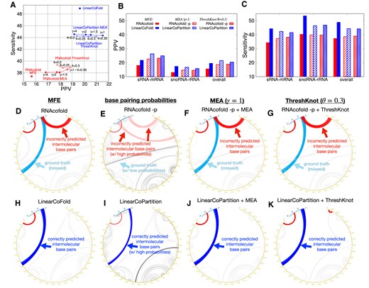 Prediction accuracy comparison between Vienna RNAcofold and our algorithms on the Meyer dataset. (A) PPV against sensitivity of the MFE structures (RNAcofold versus LinearCoFold , the MEA structures with varying γ of 1, 1.5, 2 and 4 (RNAcofold versus LinearCoPartition ), and the ThreshKnot structures with varying θ of 0.2, 0.25, 0.3 and 0.35 (RNAcofold vs. LinearCoPartition ). (B) and (C) per family and overall PPV and sensitivity comparisons between the six systems; we choose γ = 1 for MEA and θ = 0.3 for ThreshKnot since they are the default values. Note that all the experiments are performed in the default order, i.e., short sequence first; we also present the results of the reverse order in Supplementary Figure S5. (D–K) circular plots of the MFE structure, the base pair probabilities, the MEA structure (γ = 1) and the ThreshKnot structure (θ = 0.3) generated from RNAcofold (D–G) and ours (H–K) on a bacterial sRNA–mRNA sequence pair (MG1655 and NC_000913.3), respectively; each arc represents a base pair (the darkness of the arc represents the pairing probability in E and I). The cyan arcs are the ground truth intermolecular base pairs; the blue arcs are the correct predictions and the red arcs are the incorrect predictions. The intramolecular base pairs are colored in gray.