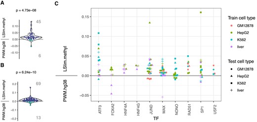 Comparison of the genome-wide prediction performance of PWM models learned on the original hg38 genome (PWM.hg38) and methylation-aware LSlim models (LSlim.methyl) within the Catchitt framework. (A) Pairwise comparison of models across all 10 TFs in the within cell type setting. LSlim.methyl performs better than PWM.hg38 for 45 test data sets, while PWM.hg38 performs better than LSlim.methyl for 6 test data sets. (B) Pairwise comparison of models across all 10 TFs in the across cell type setting. LSlim.methyl performs better than PWM.hg38 for 69 test data sets, while PWM.hg38 performs better than LSlim.methyl for 13 test data sets. (C) Comparison of performance per TF, where the training cell type is encoded by colour and the test cell type is encoded by shape. If multiple data sets are present per TF and cell type, all combinations of data sets are considered.