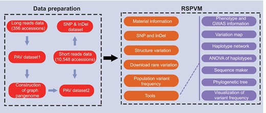 Schematic roadmap of the RSPVM.