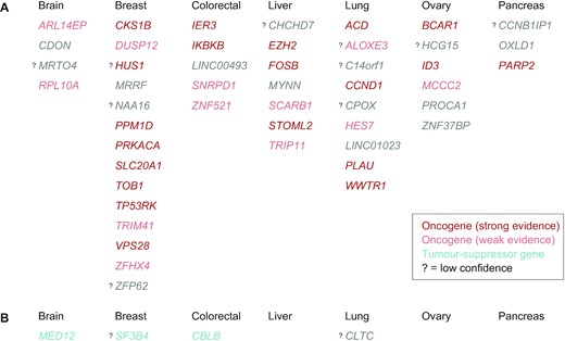The list of 48 candidate driver-upregulated genes (A) and 4 candidate driver-downregulated genes (B) in solid cancers. Genes are grouped by the tissue and sorted alphabetically. Colour codes for the tissue-matched cancer evidence in the literature, as in Figure 4: oncogenes in red, TSGs in teal, no evidence in grey. In the case of dual evidence, only one is shown in this figure (both are indicated in Figure 4 and Supplementary Table S2). Question mark denotes target genes with low confidence, based on the three-layer post-hoc identification of potential false discoveries.